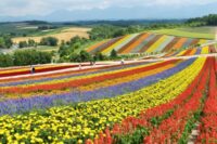 「輸入ビジネスのAmazon、楽天の商品ページ」シリーズ（先入観編）。