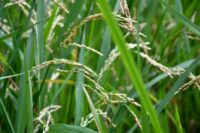 輸入ビジネスで利益が出たあとの失敗パターン。